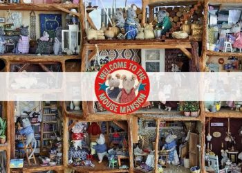 Sam & Julia Expand Their World in France with New Books and on TV