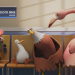 Animation to Help Detect Cancer Early PSA for the Scottish Government