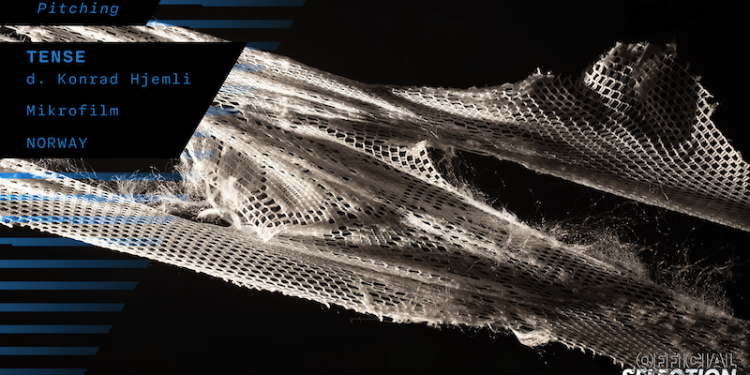 Winners of the 13th CEE Animation Forum Announced